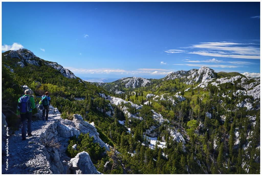 Vacation Home Kuca Za Odmor Красно-Поле Экстерьер фото